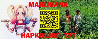 МДПВ Рыбинск