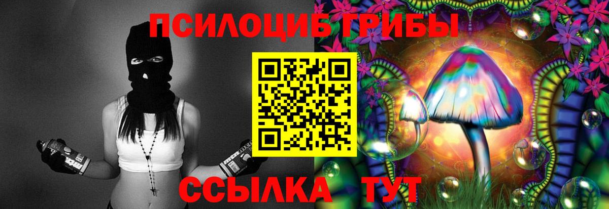 Псилоцибиновые грибы мицелий  Псилоцибиновые грибы мицелий  Вход с VPN  Павлово 